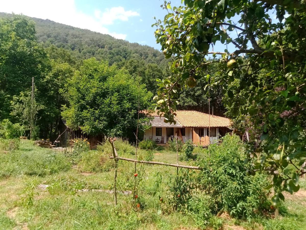Charming Cottage In The Heart Of The Ribera Sacra Castro Caldelas Exterior foto